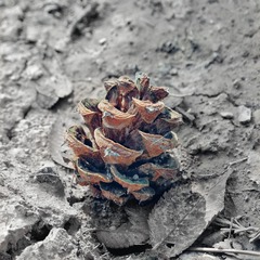 SAM_5366-01-02