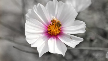 SAM_5372-01-01