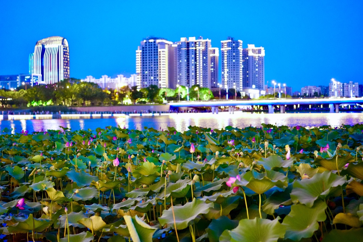 扬州明月湖夜景