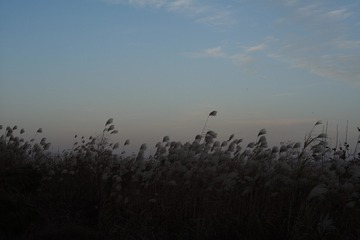 E31F3563-FA30-44F2-9ED4-3D33FB71A826/L0/001