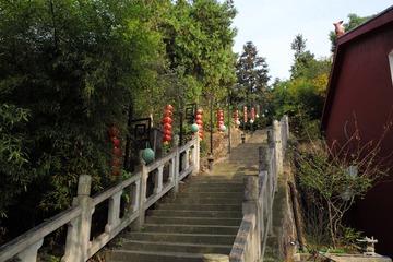 FE2A5E16-0C83-472A-96EF-4F8E567280A3/L0/001