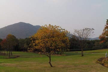 8F585237-7C66-43DB-A0A9-720C837B7965/L0/001