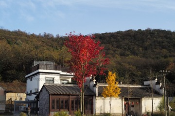 A4D4C2B9-603E-48E7-AB97-A5D4A0E750F0/L0/001
