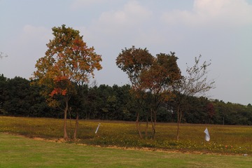 BFB7333C-D56A-43E8-9A1F-4C15F7030235/L0/001
