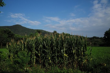 CE87E9E2-1717-45F8-B745-7FC0C7805279/L0/001