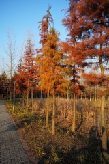 BCC9699D-B755-4773-9C3B-35C09AFDBDB9/L0/001