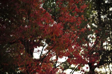 1D0FB570-EF17-4C45-A5B4-5B3789506B7C/L0/001