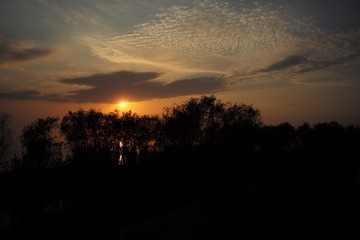 28ABC5B0-6169-4DDE-92BA-0BA62EC31129/L0/001