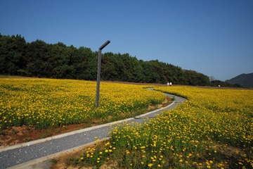 0A3BFA3B-9EF1-40E3-AD57-393ED8E556C4/L0/001
