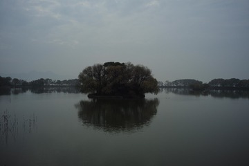 6E39DF81-F5E9-46CD-81D2-528C8C742EB5/L0/001