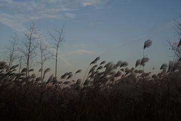 C0D39DB1-240F-48B0-8B3B-5016A6EB3CF8/L0/001