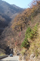 C458D8AB-CB65-4536-808D-F5B1FA80A112/L0/001