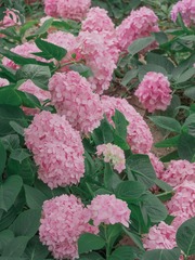 C1FF5F16-819B-4678-9751-6B108DF04C88/L0/001