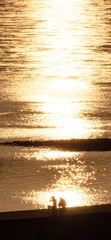 BC7E5105-4B9C-4044-99FD-5FFF3A48E84C/L0/001