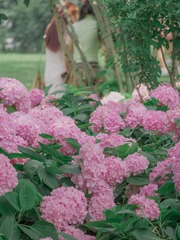 4F76233B-C040-45D0-ADA8-F96A631F53AB/L0/001