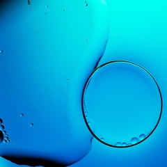 D70_2672g