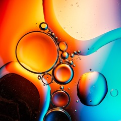 D70_2688g