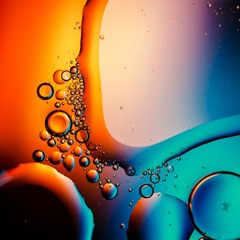 D70_2689g