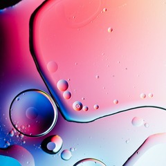 D70_2723g