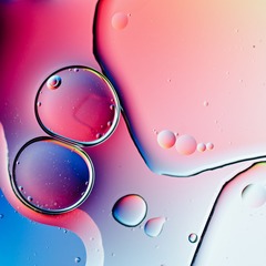 D70_2725g