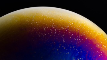 D70_3036