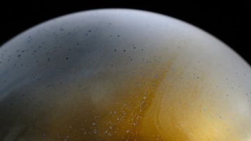D70_3038