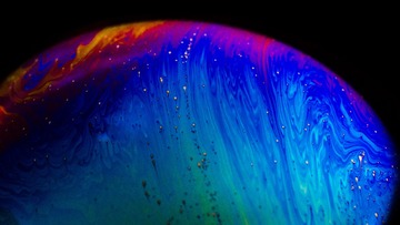 D70_3551