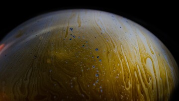 D70_3556