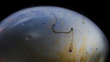 D70_3558