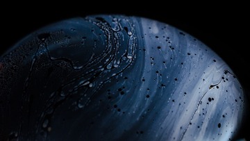 D70_3565