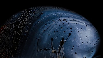 D70_3566