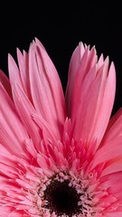 D70_4605