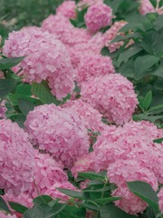 6479B2D2-9C98-442D-94A6-4916B1553B92/L0/001