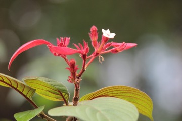 220101