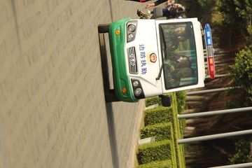 264041