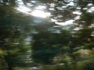 IMG_20160925_073136