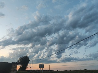 1000029354