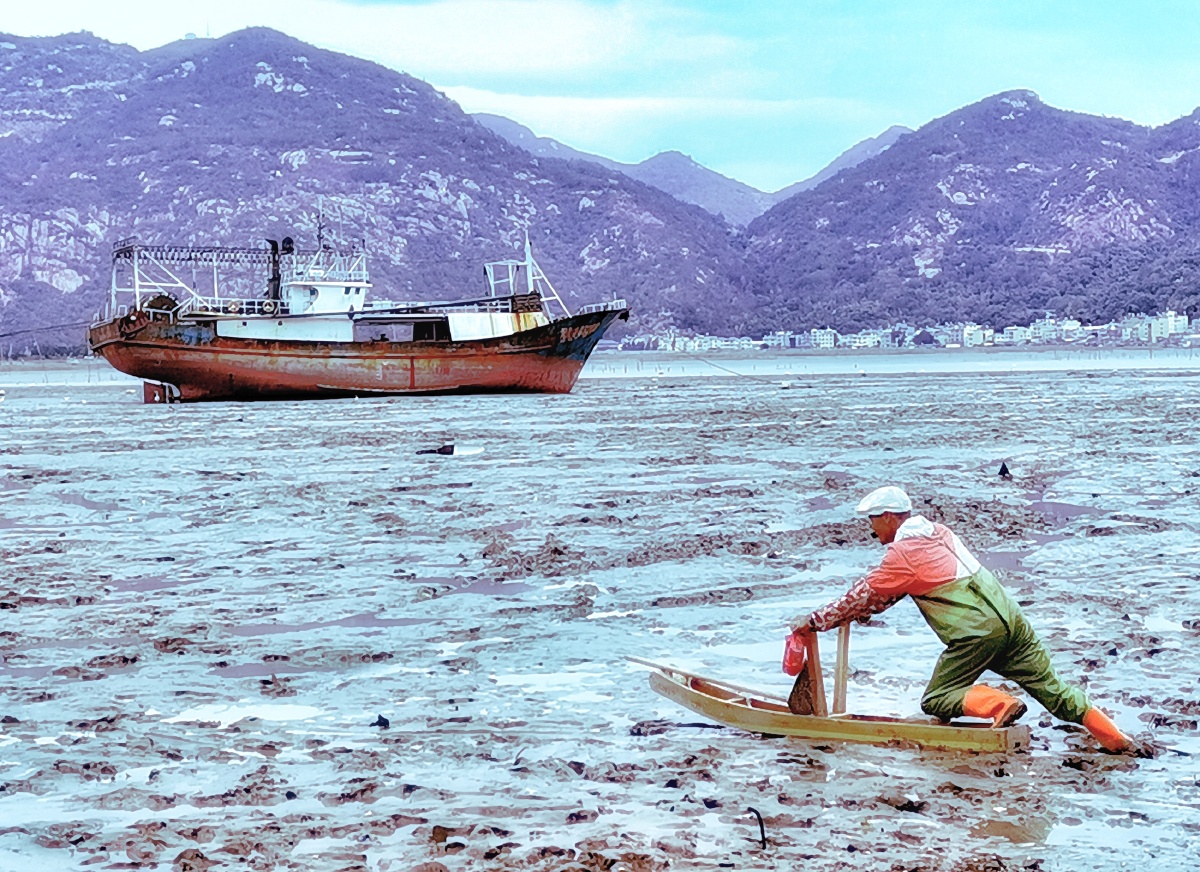 滩涂鱼工