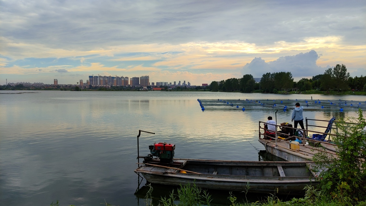 澄湖之上手机片