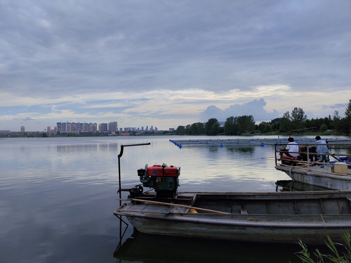 澄湖之上手机片