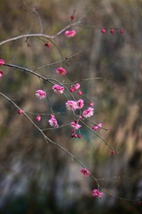 20180313 - 14