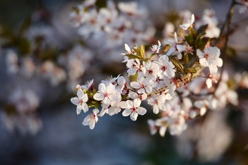 201903211 - 25