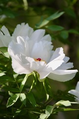 20190420 - 3