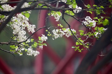 20180331 - 1