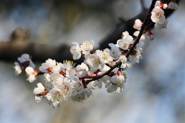 20180316 - 15