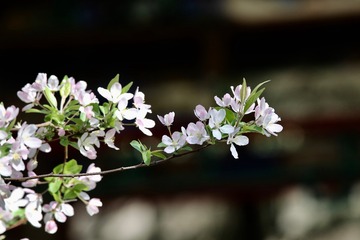 20190327 - 4