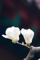20180321 - 23