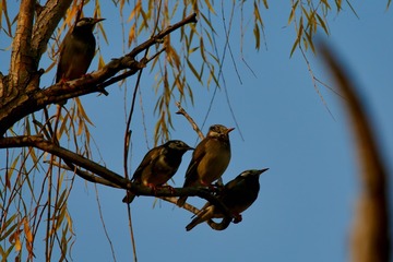 20191205 - 18
