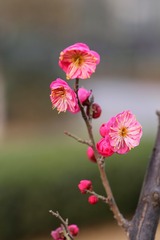 IMG_20190227_200321