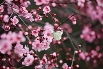 20180326 - 47